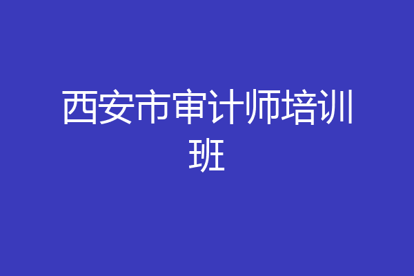 西安市审计师培训班
