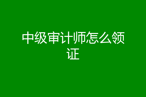 中级审计师怎么领证