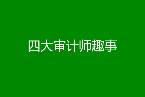 四大审计师趣事