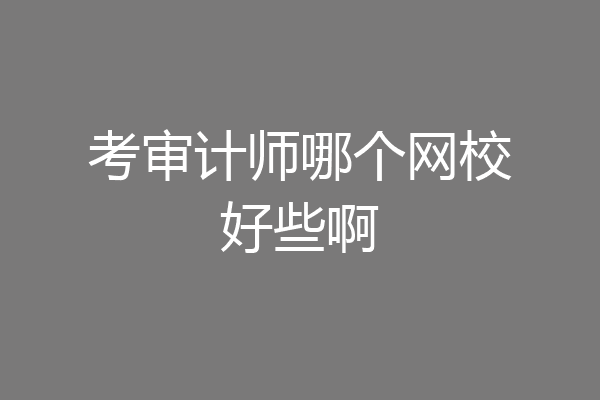考审计师哪个网校好些啊