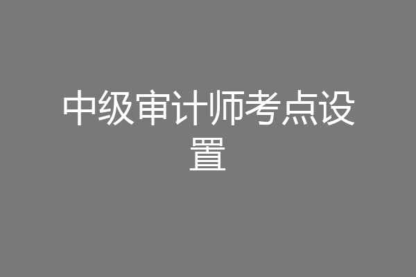 中级审计师考点设置