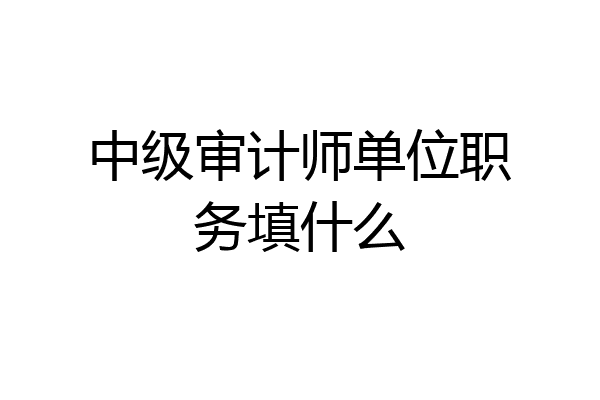 中级审计师单位职务填什么