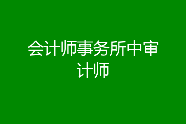 会计师事务所中审计师