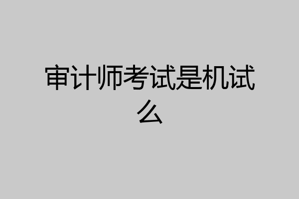审计师考试是机试么
