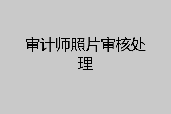 审计师照片审核处理