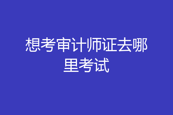 想考审计师证去哪里考试
