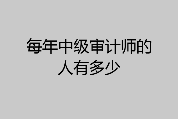 每年中级审计师的人有多少