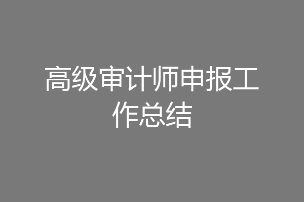 高级审计师申报工作总结