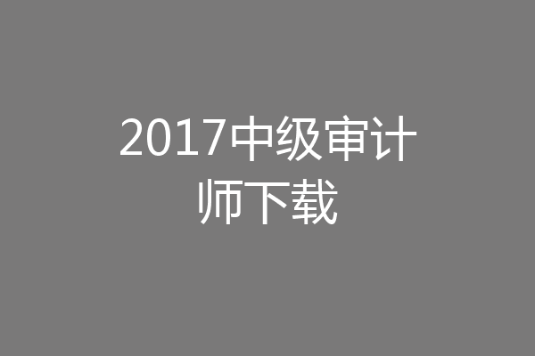 2017中级审计师下载