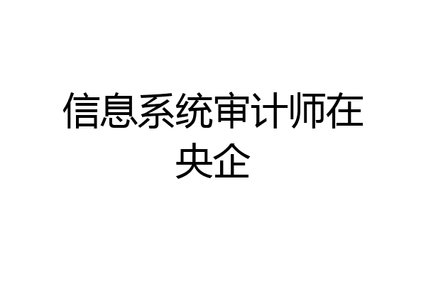 信息系统审计师在央企