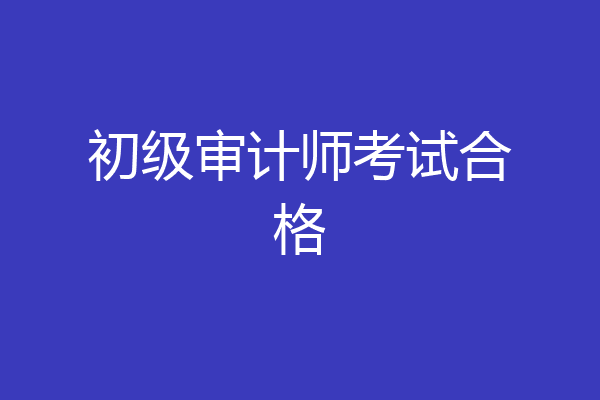初级审计师考试合格