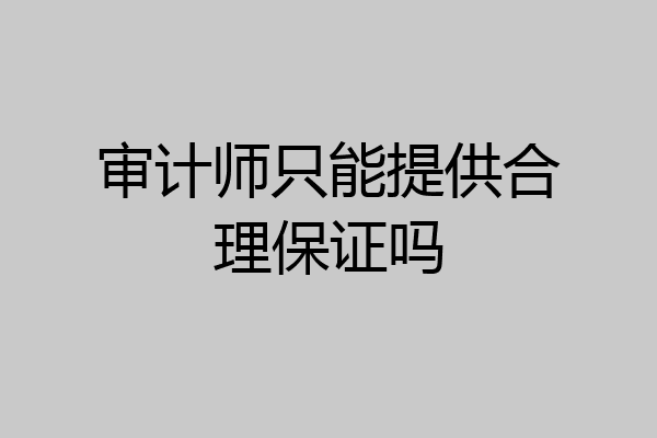 审计师只能提供合理保证吗