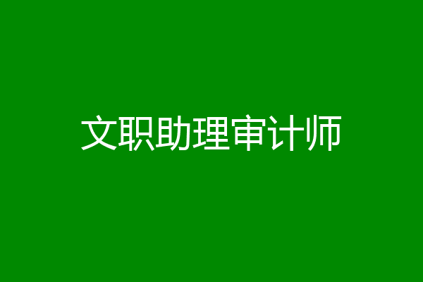文职助理审计师