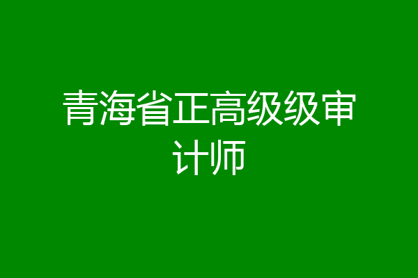 青海省正高级级审计师