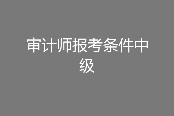 审计师报考条件中级