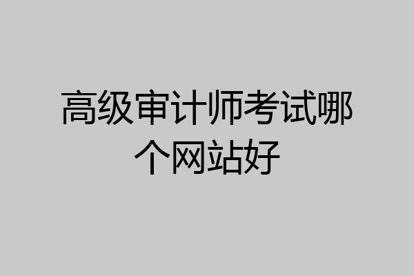 高级审计师考试哪个网站好