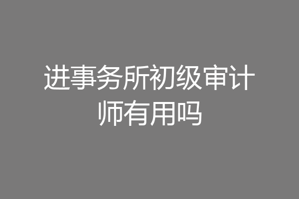 进事务所初级审计师有用吗