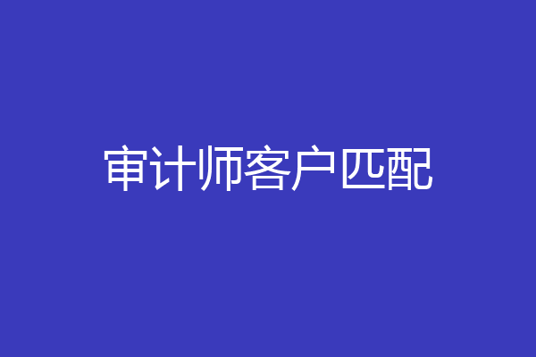 审计师客户匹配
