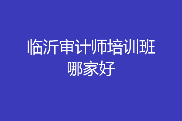 临沂审计师培训班哪家好
