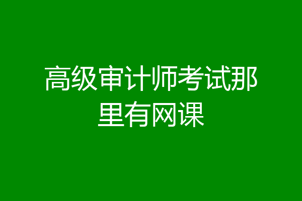 高级审计师考试那里有网课