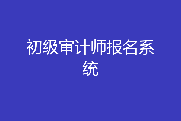 初级审计师报名系统