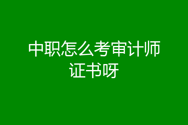 中职怎么考审计师证书呀