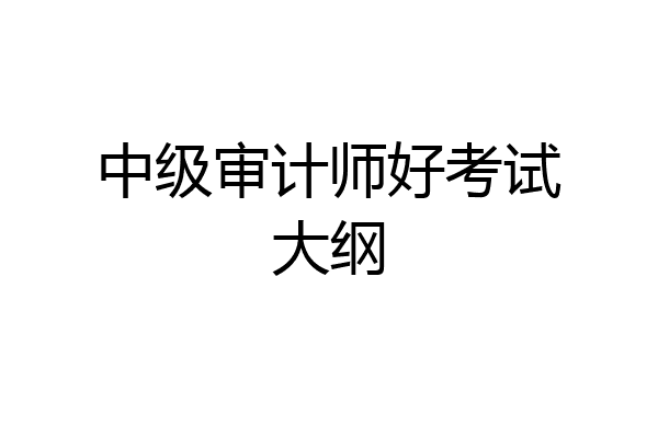 中级审计师好考试大纲