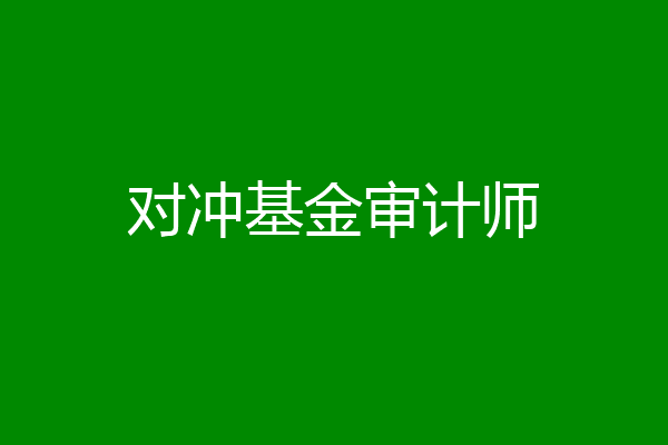 对冲基金审计师