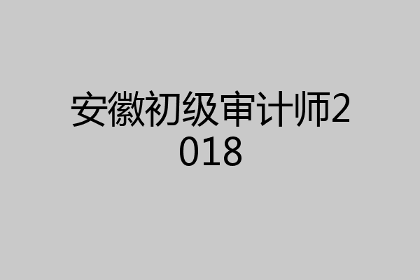 安徽初级审计师2018