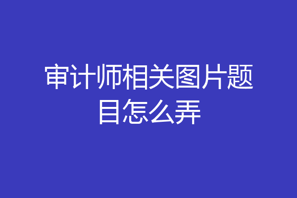 审计师相关图片题目怎么弄