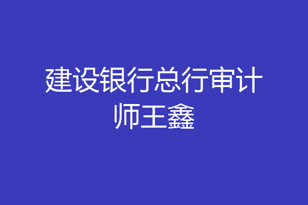 建设银行总行审计师王鑫