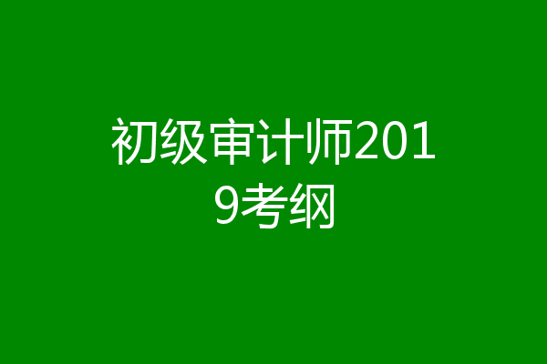 初级审计师2019考纲