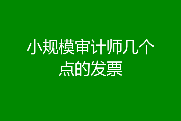 小规模审计师几个点的发票