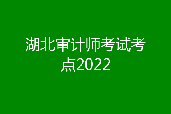 湖北审计师考试考点2022