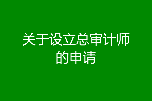 关于设立总审计师的申请