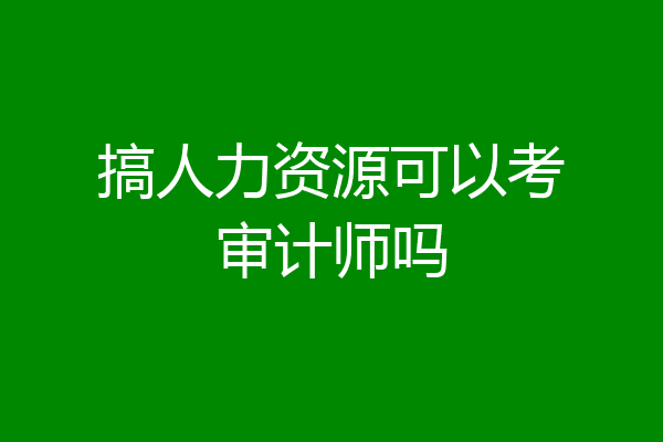 搞人力资源可以考审计师吗