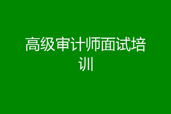 高级审计师面试培训