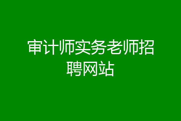 审计师实务老师招聘网站