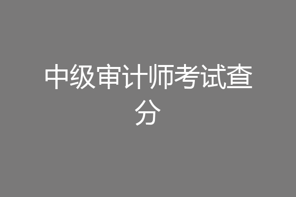 中级审计师考试查分