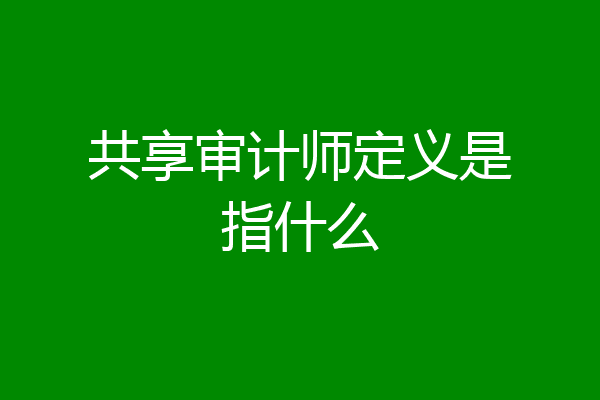 共享审计师定义是指什么