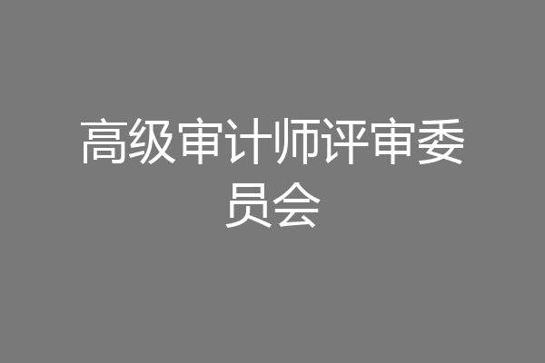 高级审计师评审委员会