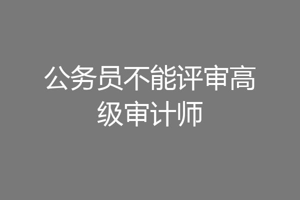 公务员不能评审高级审计师