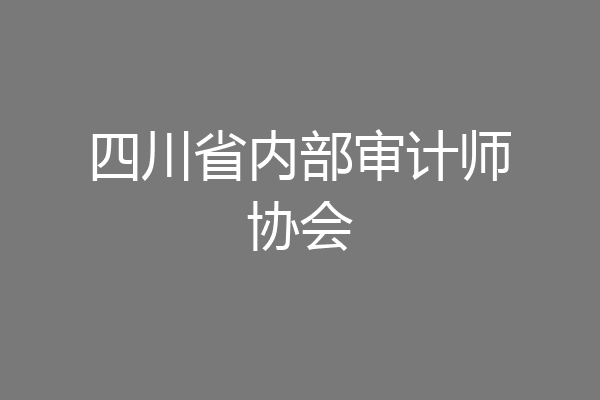 四川省内部审计师协会