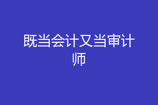 既当会计又当审计师