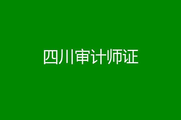 四川审计师证