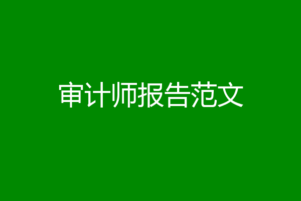 审计师报告范文