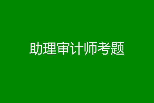 助理审计师考题