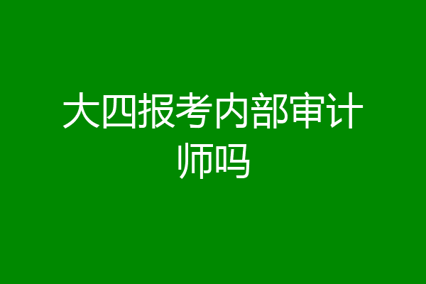 大四报考内部审计师吗