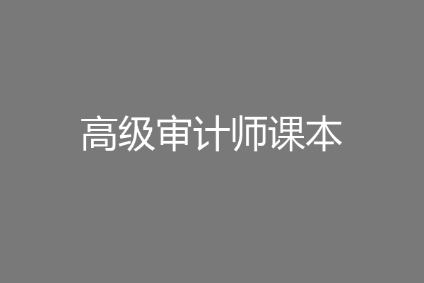 高级审计师课本