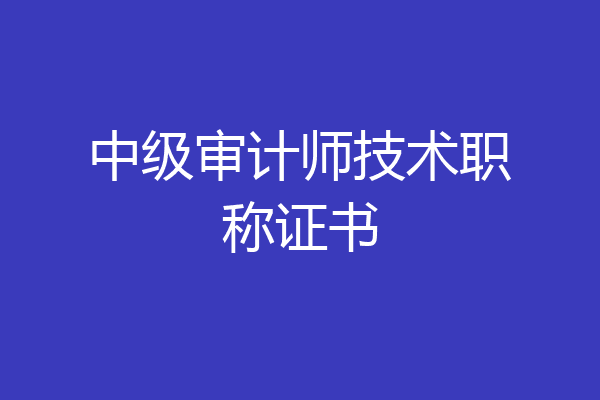 中级审计师技术职称证书